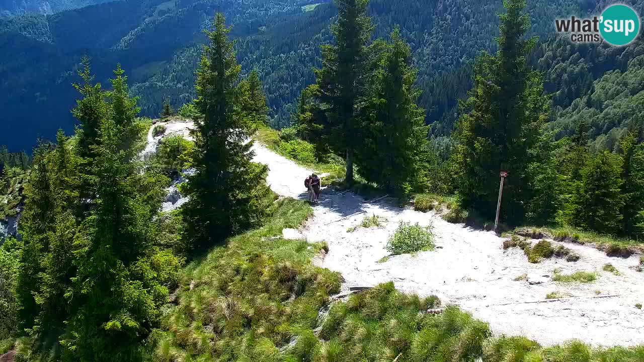 Web kamera Koča na Golici (1582 m) – Slovenija