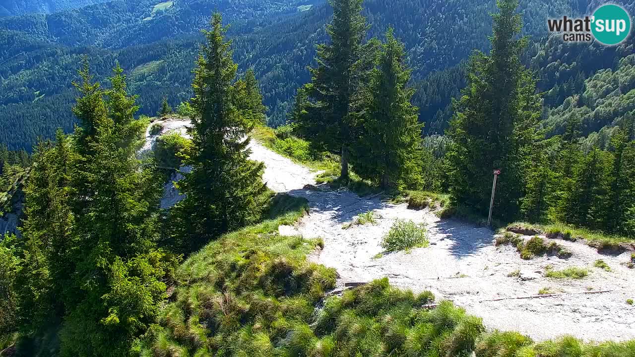 Koča na Golici Webcam (1582 m) – Slowenien