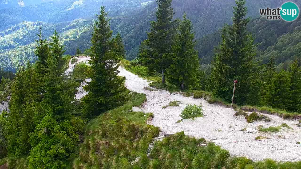 Web kamera Koča na Golici (1582 m) – Slovenija