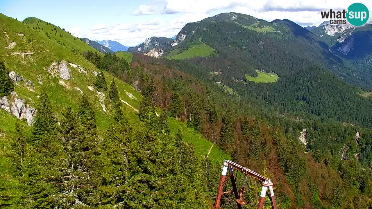 Koča na Golici Webcam (1582 m) – Slowenien