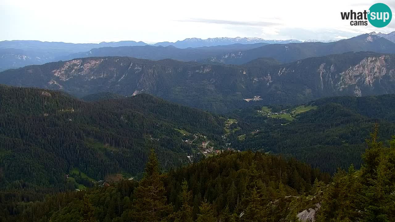 Web kamera Koča na Golici (1582 m) – Slovenija