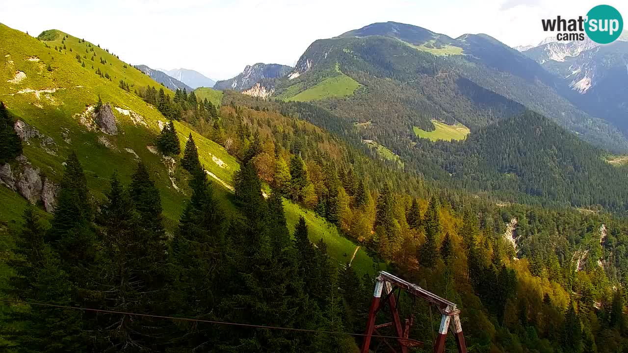 Webcam Koča na Golici (1582 m) – Slovenia