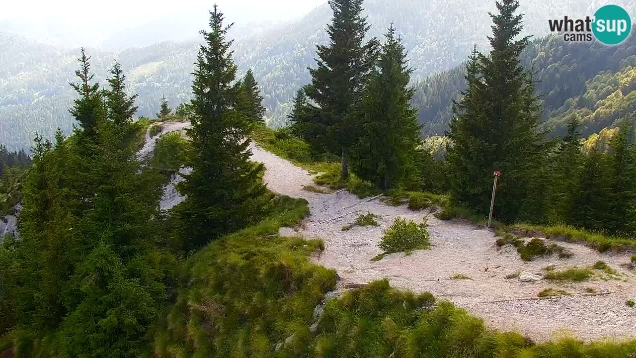 Webcam Koča na Golici (1582 m) – Slovenia