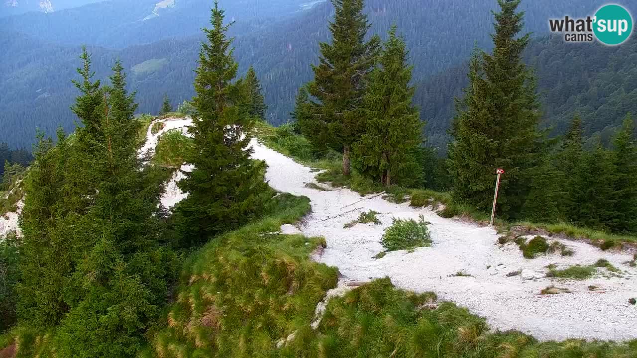 Webcam na Golici – Baita di montagna (1582 m) – Slovenia