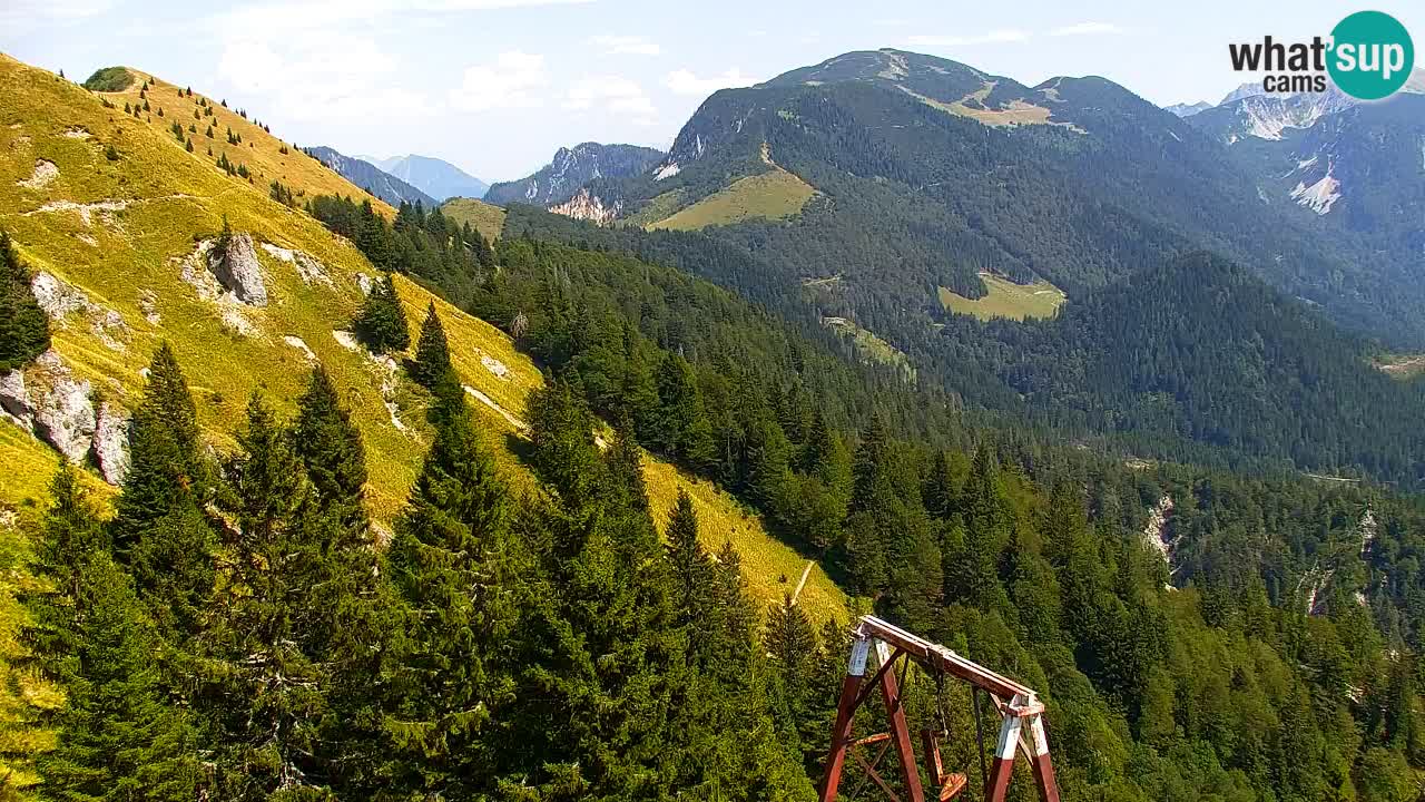 Koča na Golici Webcam (1582 m) – Slowenien