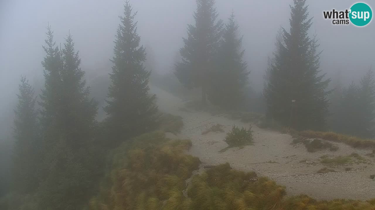 Webcam Koča na Golici (1582 m) – Slovenia