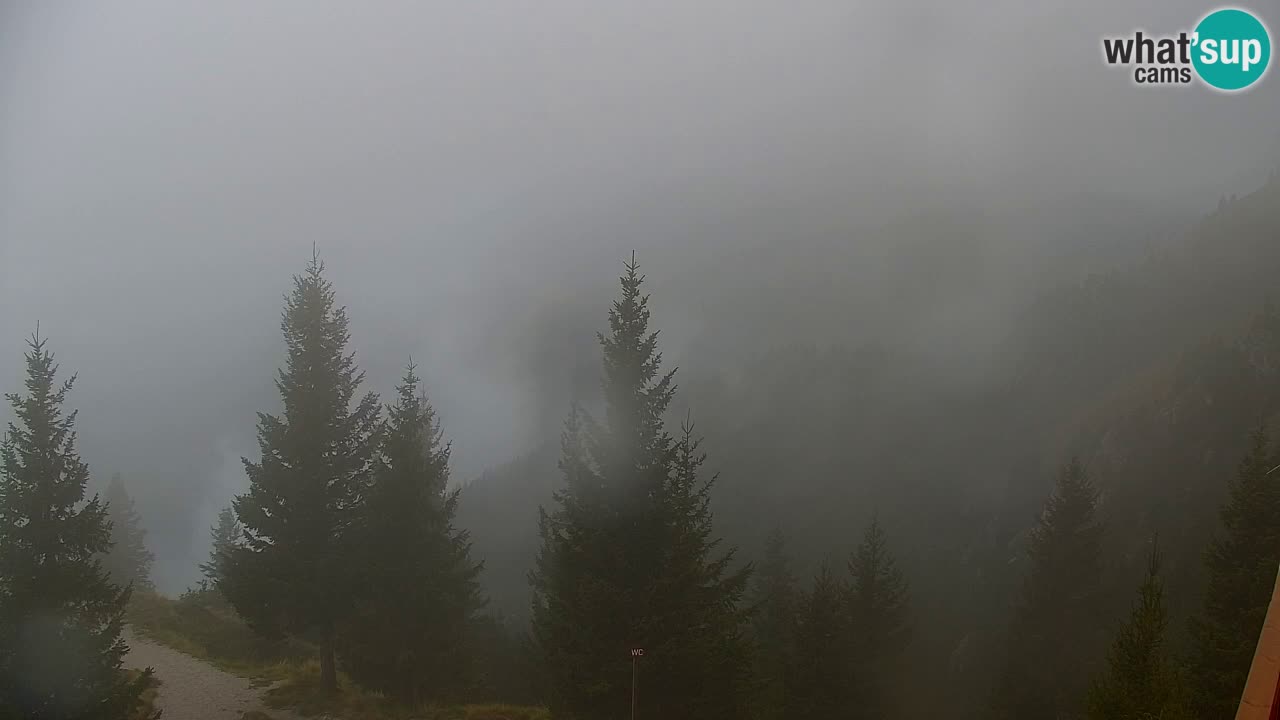 Web kamera Koča na Golici (1582 m) – Slovenija
