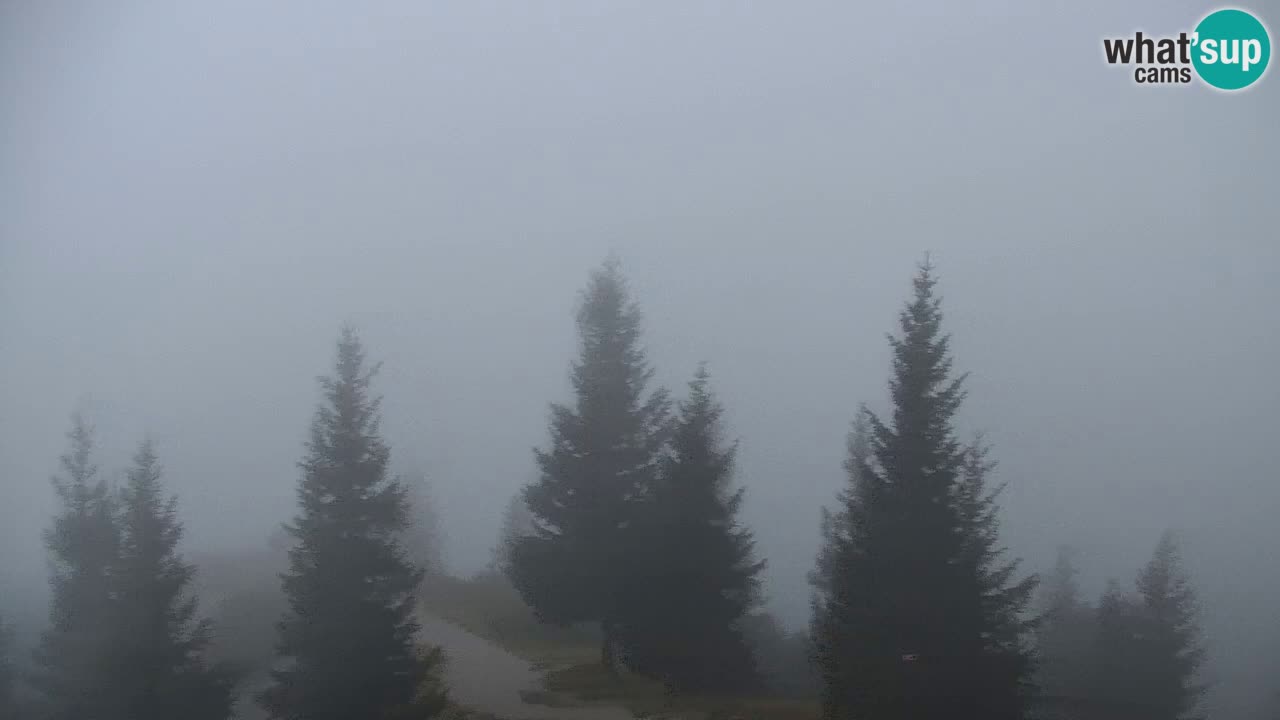Webcam Koča na Golici (1582 m) – Slovenia