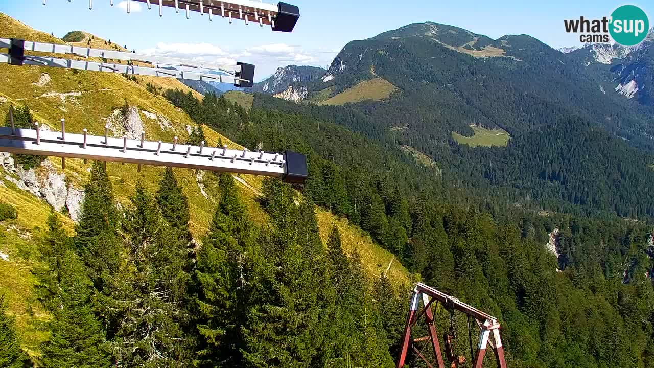 Webcam Koča na Golici (1582 m) – Slovenia
