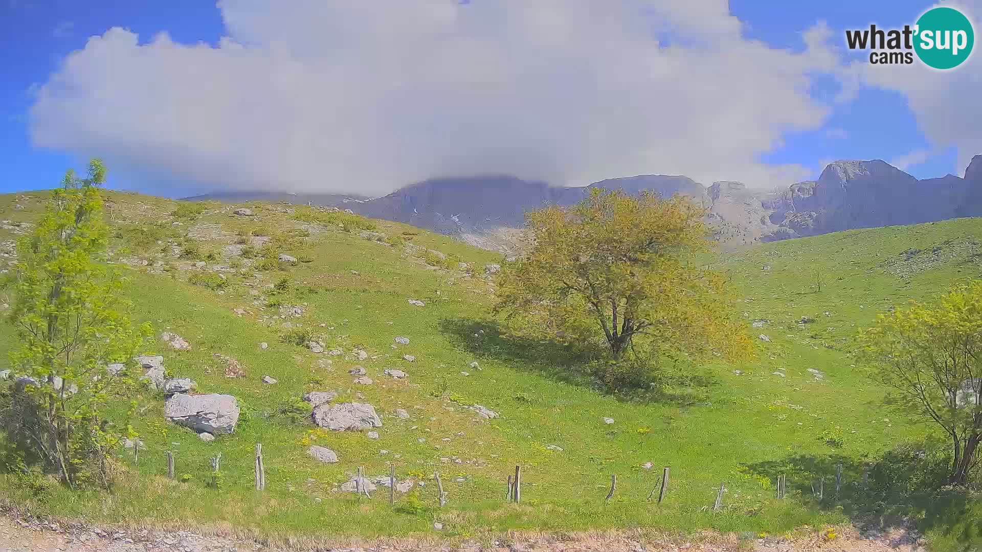 Webcam Planina Kuhinja – KRN – Kobarid – Slowenien