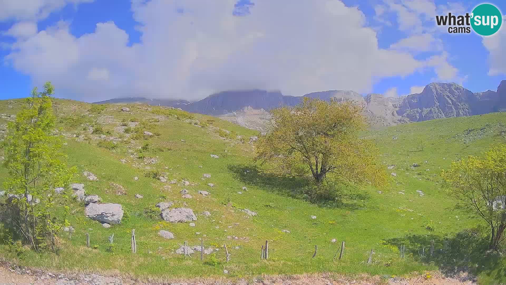 Webcam Krn – Planina Kuhinja ( Plateau Kuhinja ) – Kobarid – Slovenia