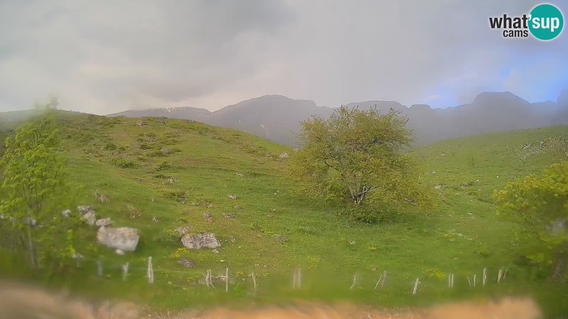 Cámara en Vivo de Planina Kuhinja – KRN – Kobarid – Eslovenia
