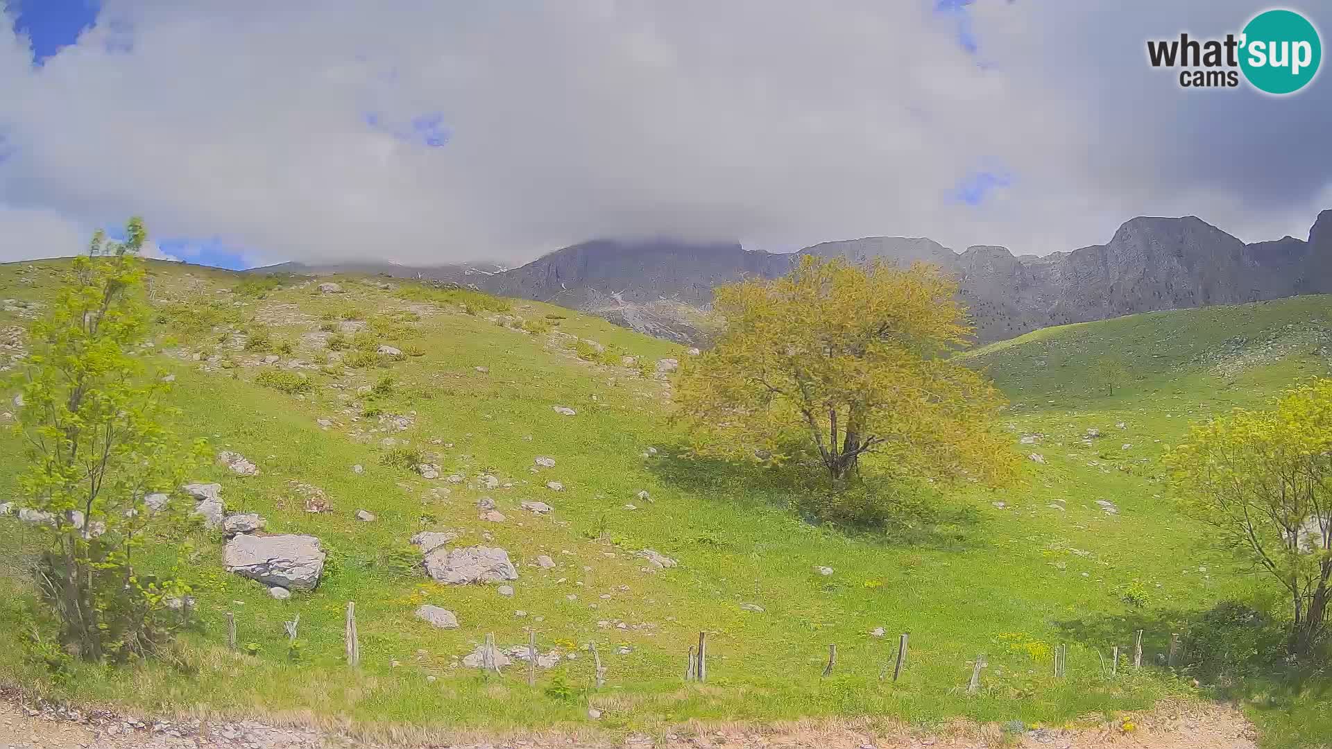 Live cam Planina Kuhinja – Monte Nero ( Krn ) – Caporetto – Slovenia