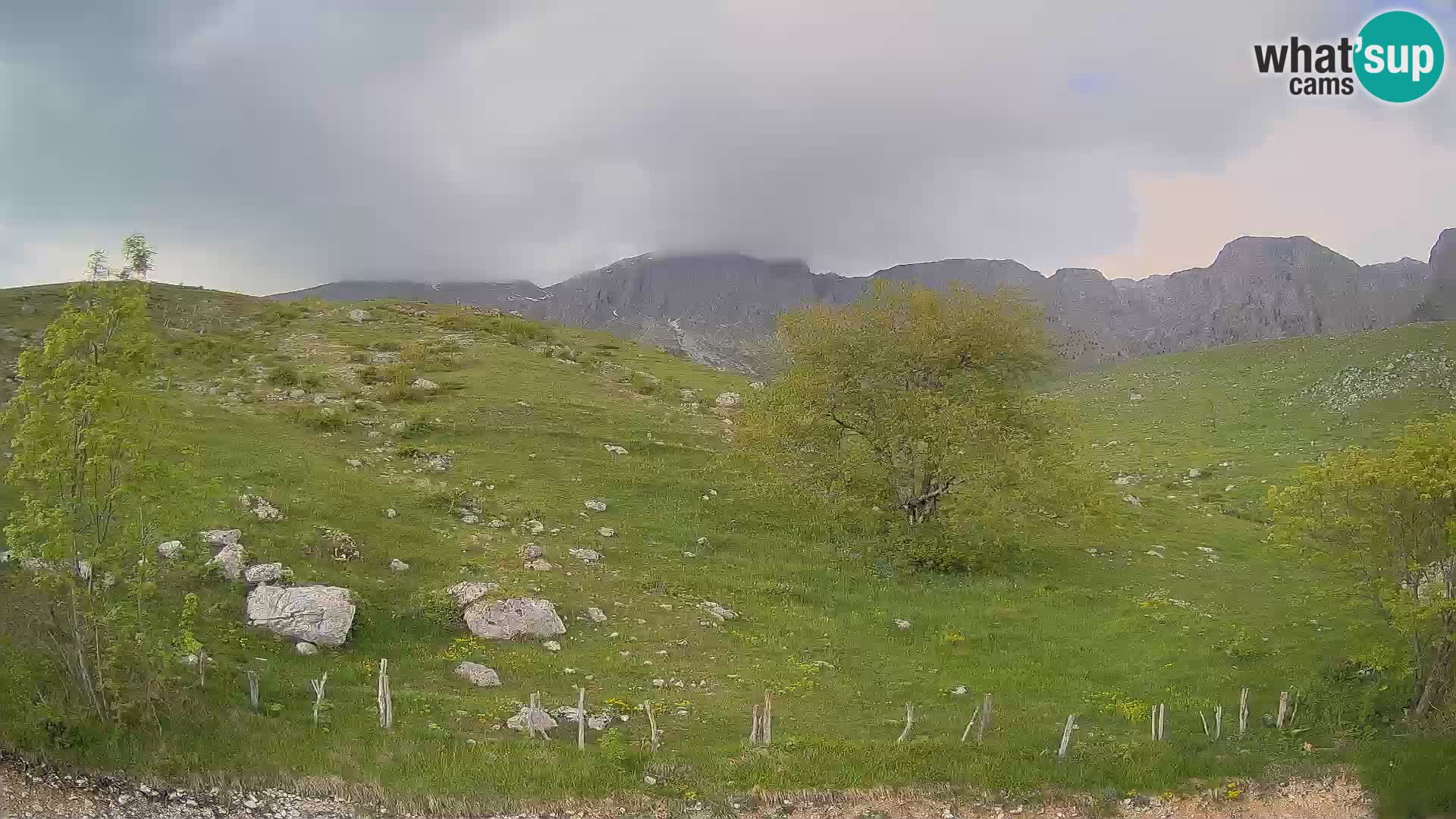 Webcam Krn – Planina Kuhinja ( Plateau Kuhinja ) – Kobarid – Slovenia