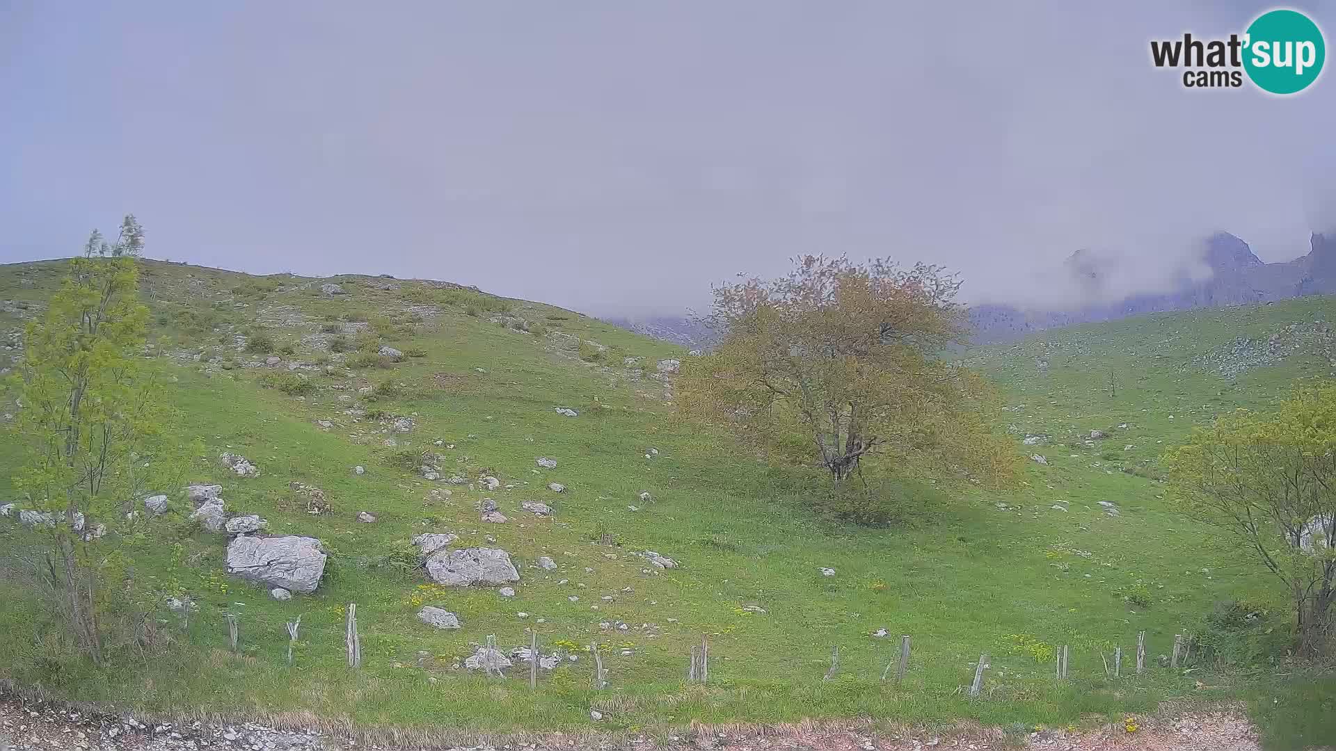 Live cam Planina Kuhinja – Monte Nero ( Krn ) – Caporetto – Slovenia