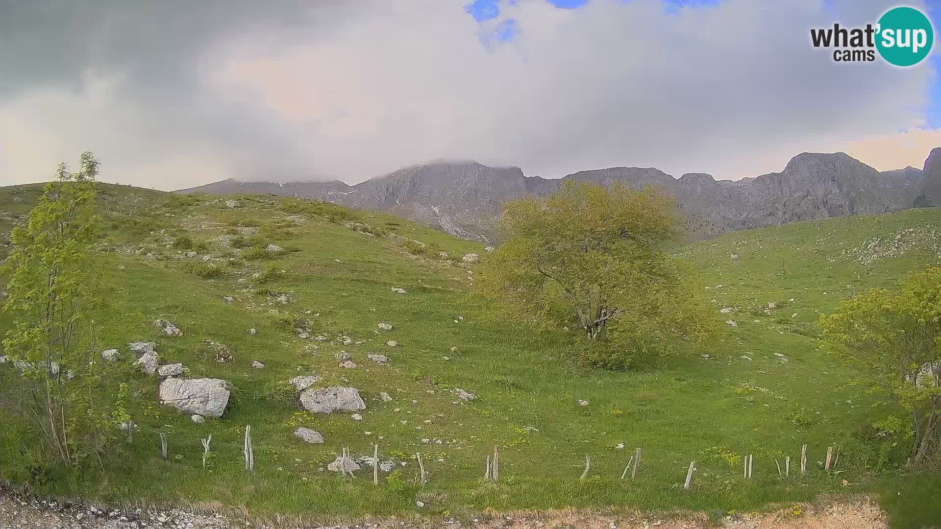 Spletna kamera Planina Kuhinja – KRN – Kobarid