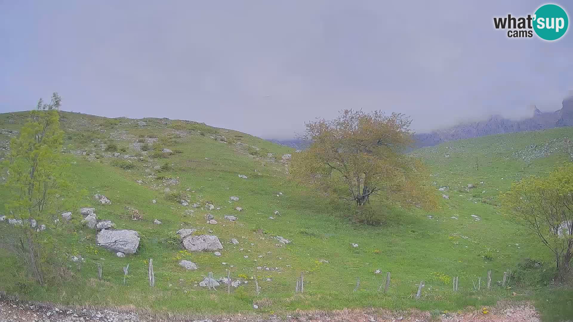 Livecam Planina Kuhinja – KRN- Kobarid – Slovénie