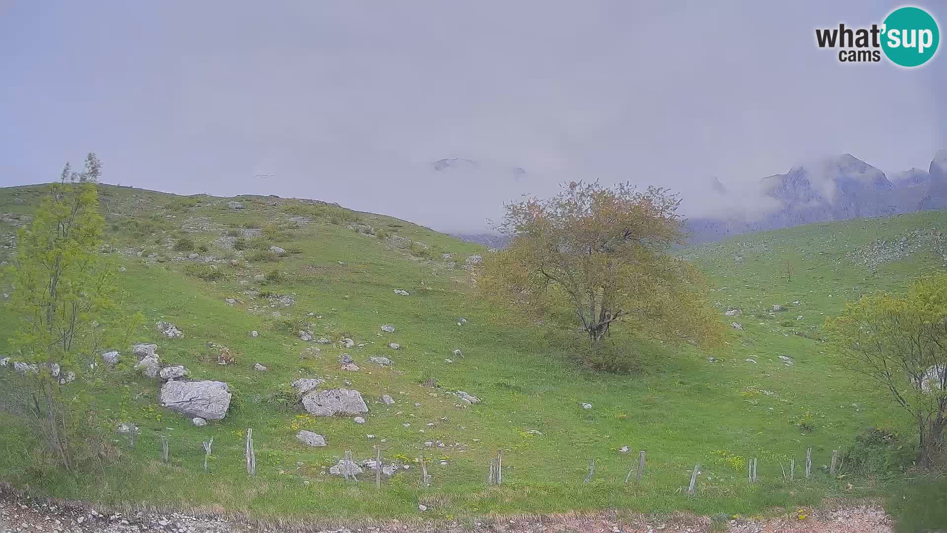 Livecam Planina Kuhinja – KRN- Kobarid – Slovénie