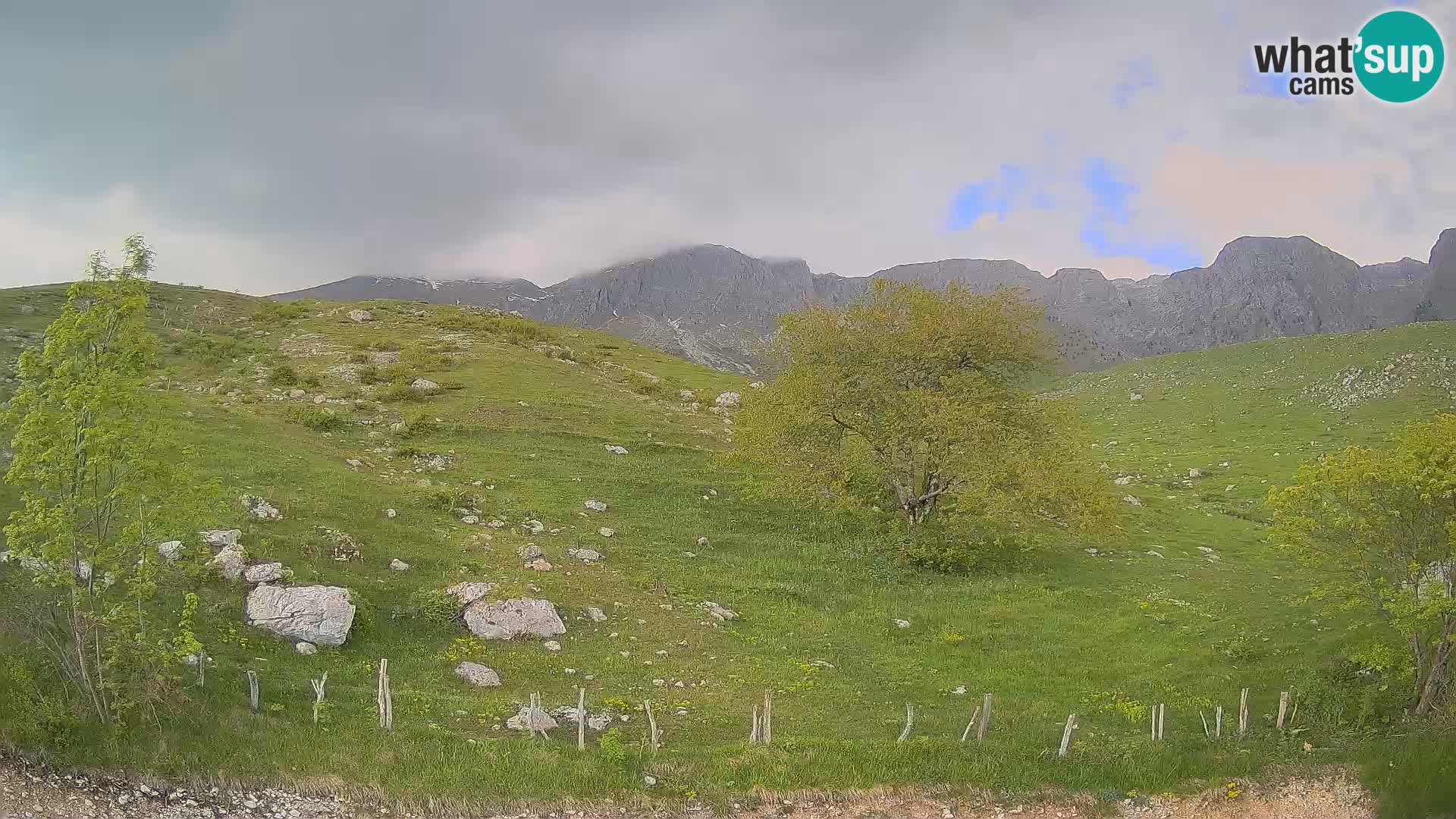 Cámara en Vivo de Planina Kuhinja – KRN – Kobarid – Eslovenia