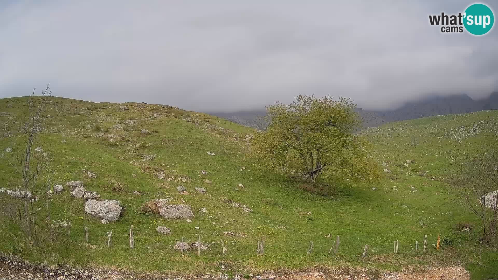 Spletna kamera Planina Kuhinja – KRN – Kobarid