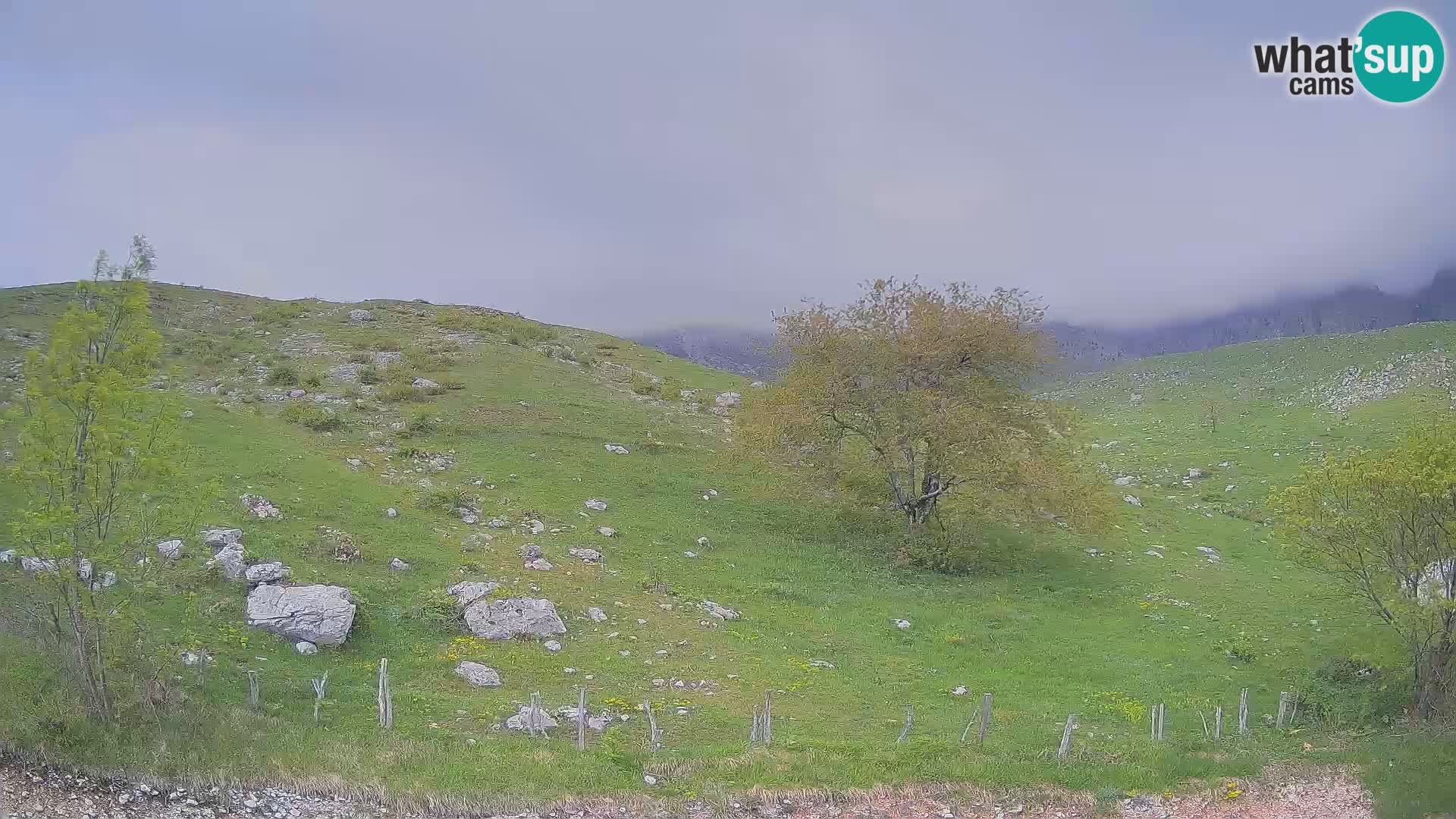 Web kamera Planina Kuhinja – KRN – Kobarid – Slovenija