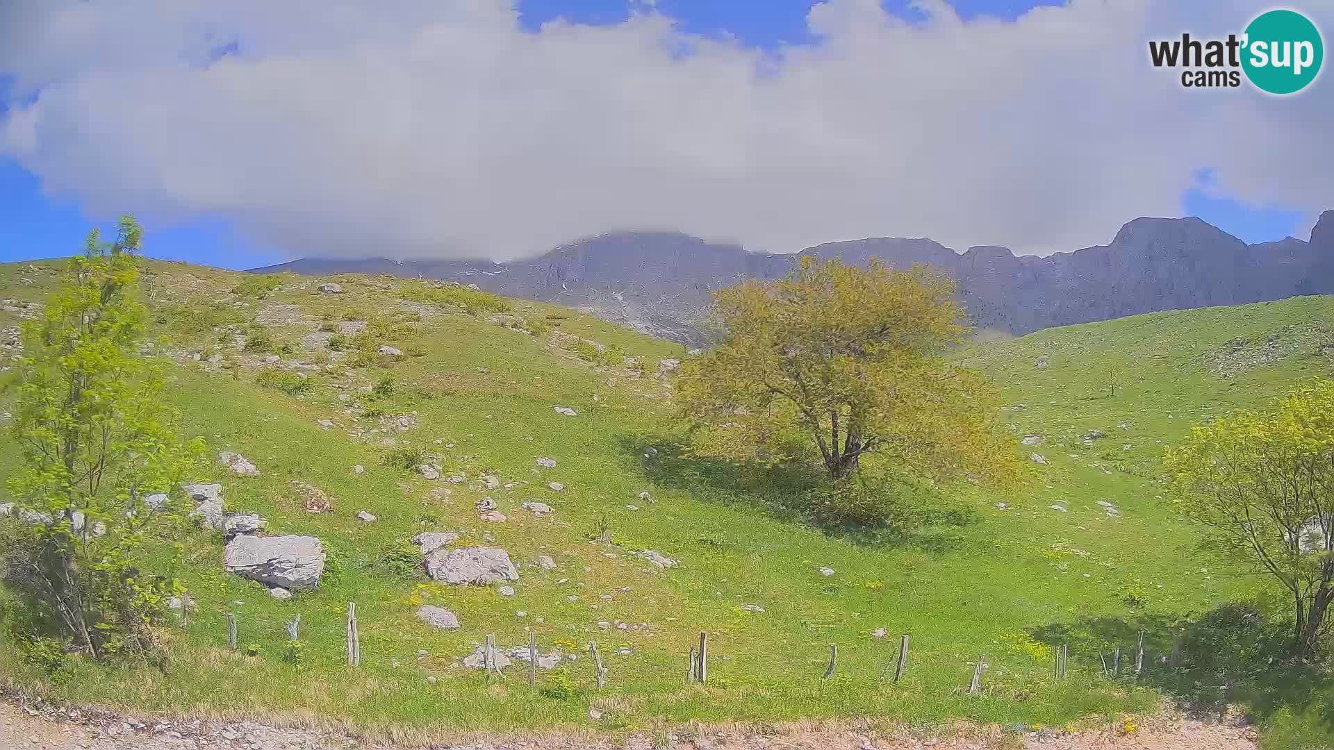 Spletna kamera Planina Kuhinja – KRN – Kobarid