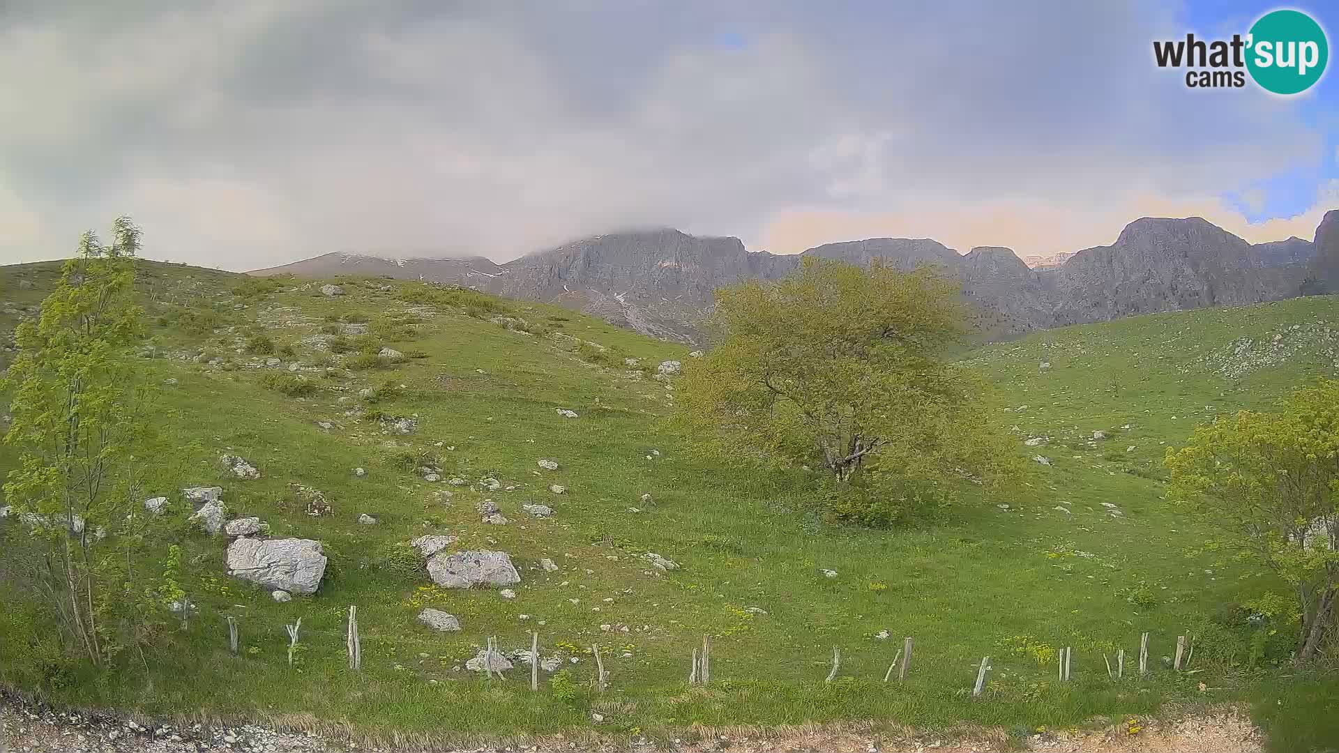 Spletna kamera Planina Kuhinja – KRN – Kobarid