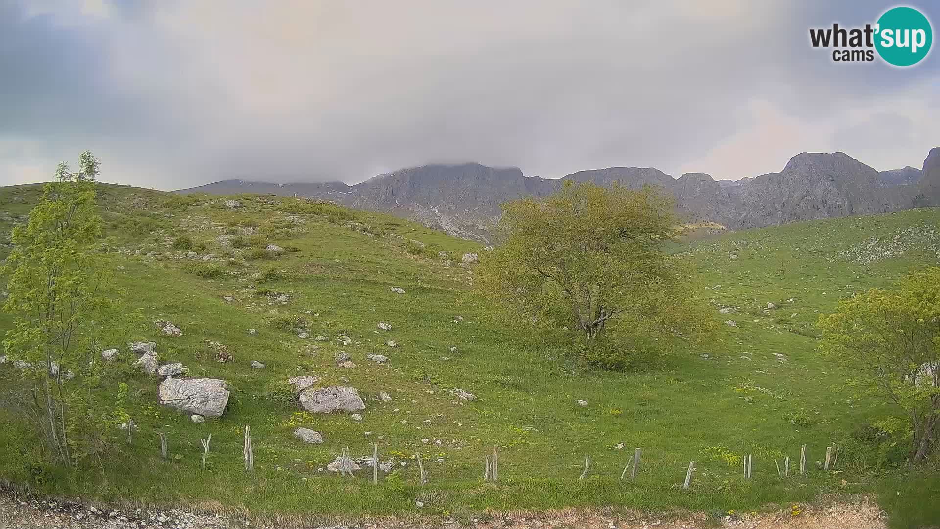 Webcam Krn – Planina Kuhinja ( Plateau Kuhinja ) – Kobarid – Slovenia