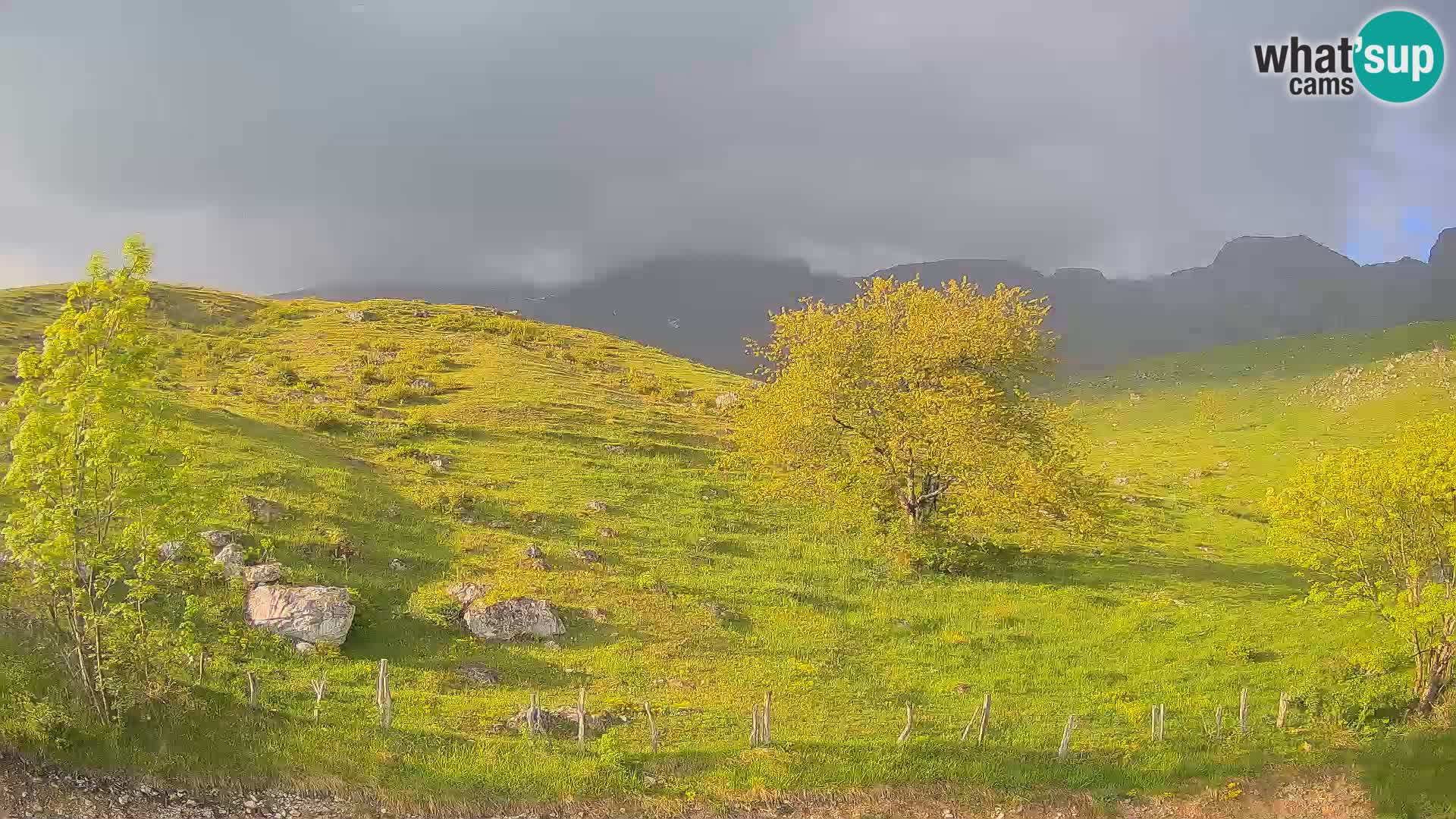 Webcam Planina Kuhinja – KRN – Kobarid – Slowenien