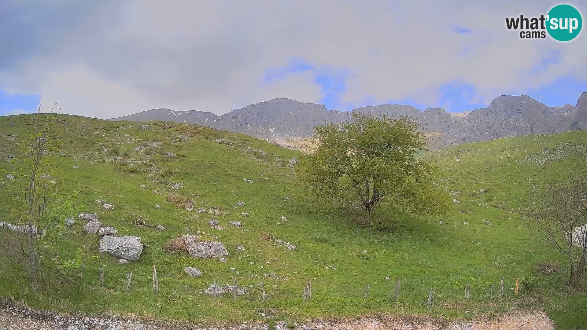 Spletna kamera Planina Kuhinja – KRN – Kobarid