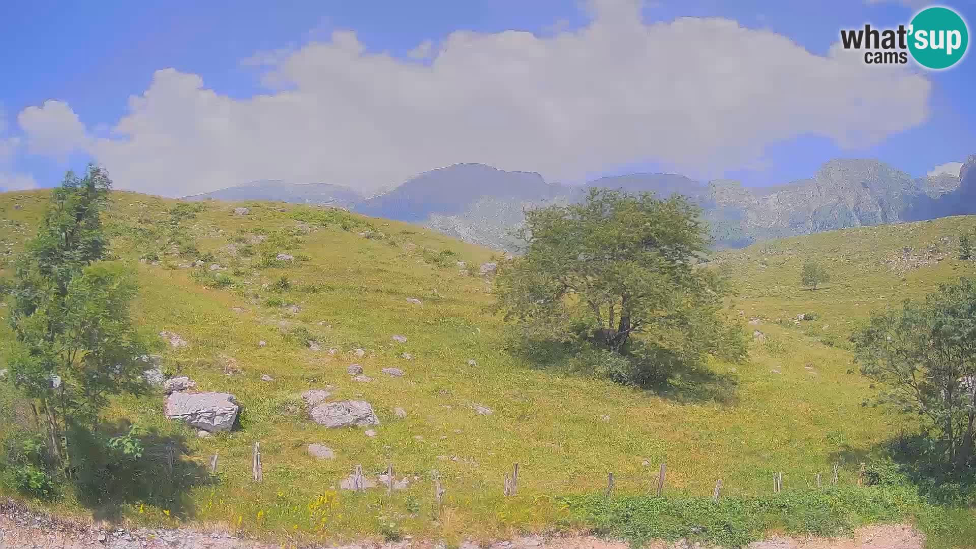 Webcam Krn – Planina Kuhinja ( Plateau Kuhinja ) – Kobarid – Slovenia