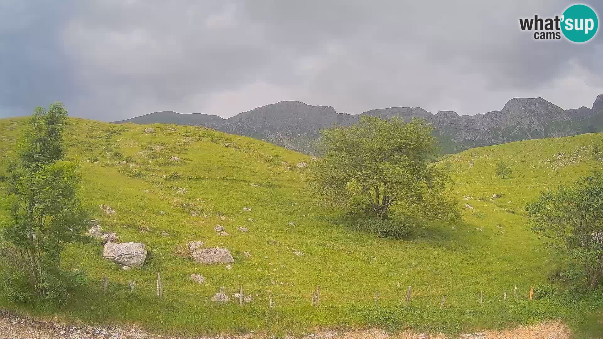 Cámara en Vivo de Planina Kuhinja – KRN – Kobarid – Eslovenia