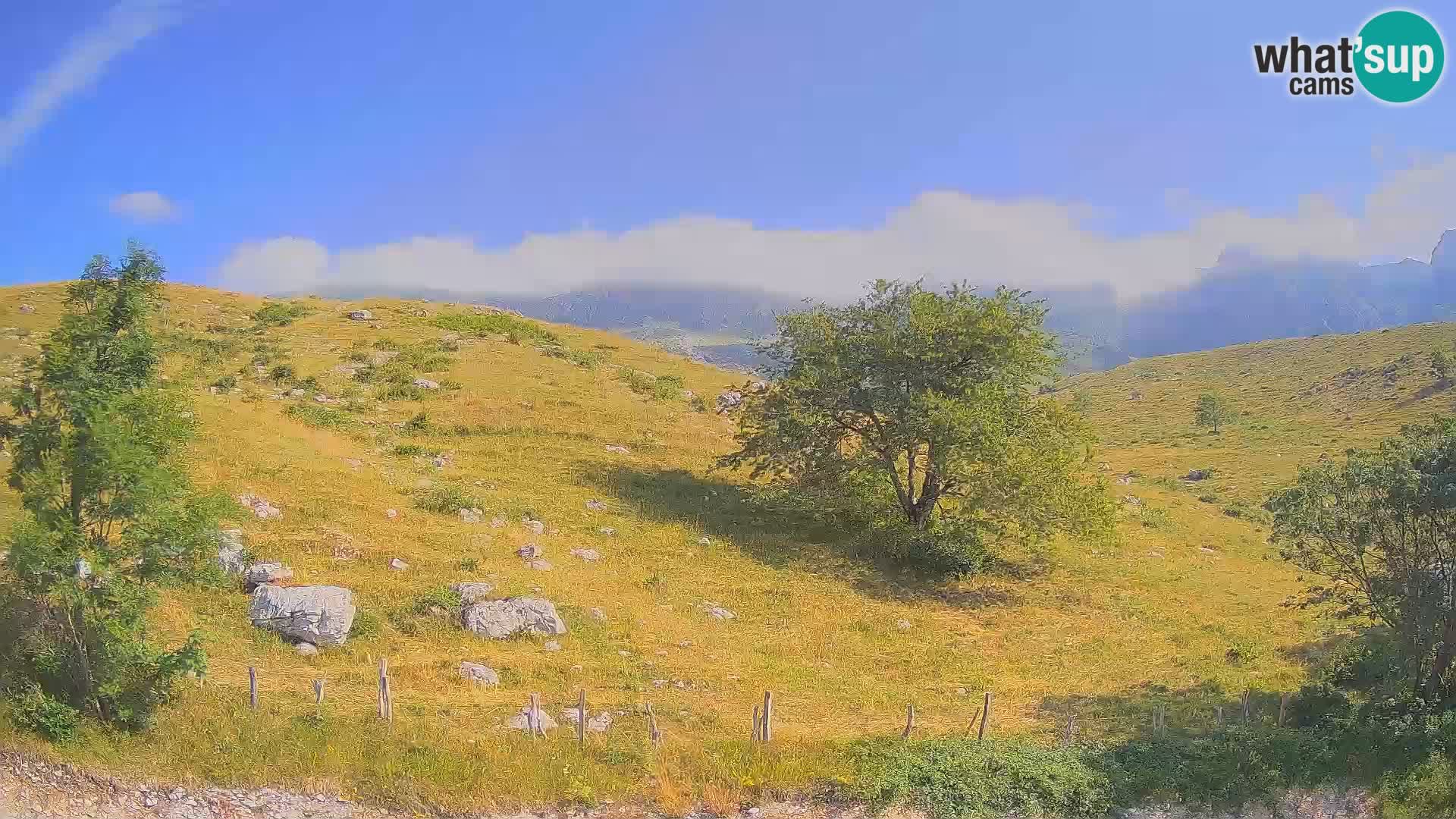 Livecam Planina Kuhinja – KRN- Kobarid – Slovénie