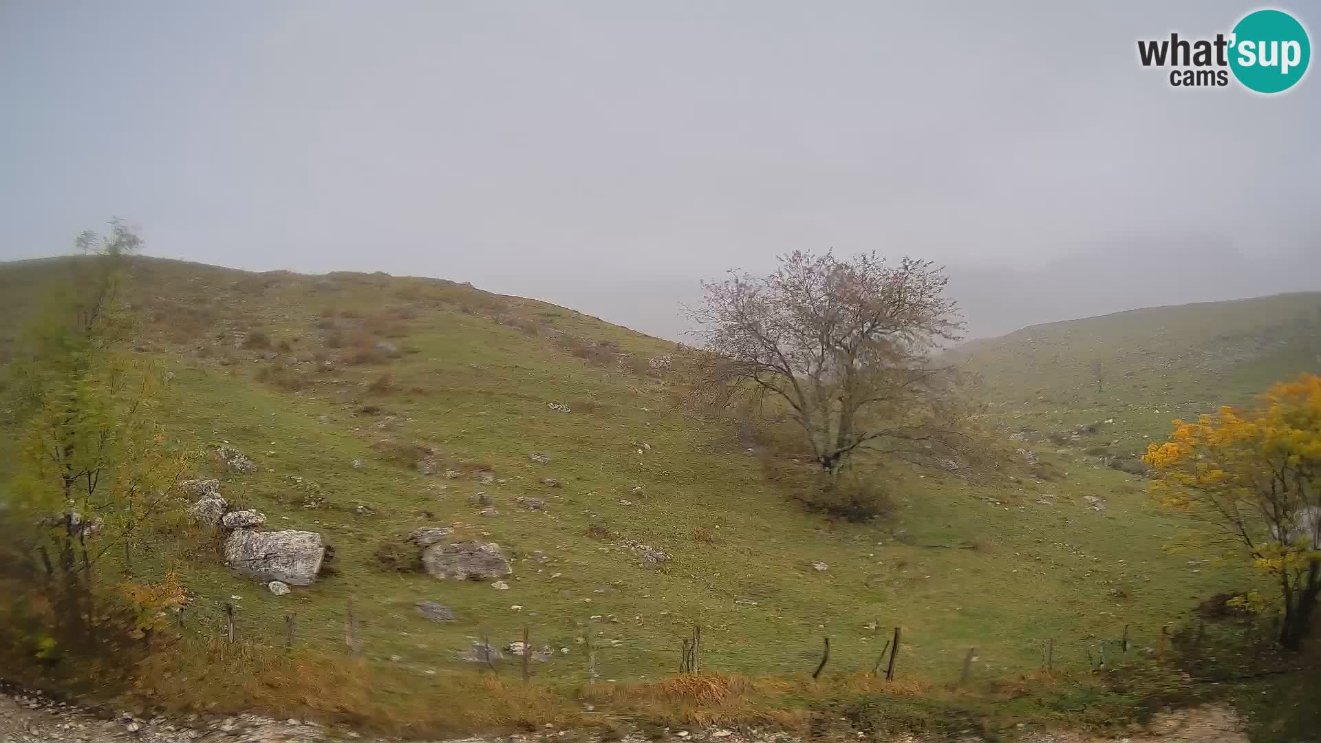 Webcam Planina Kuhinja – KRN – Kobarid – Slowenien