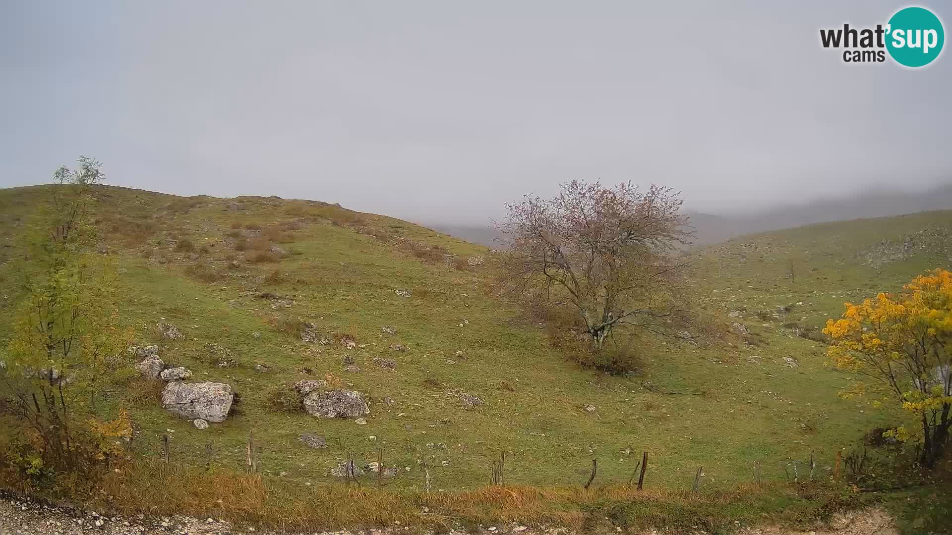 Cámara en Vivo de Planina Kuhinja – KRN – Kobarid – Eslovenia