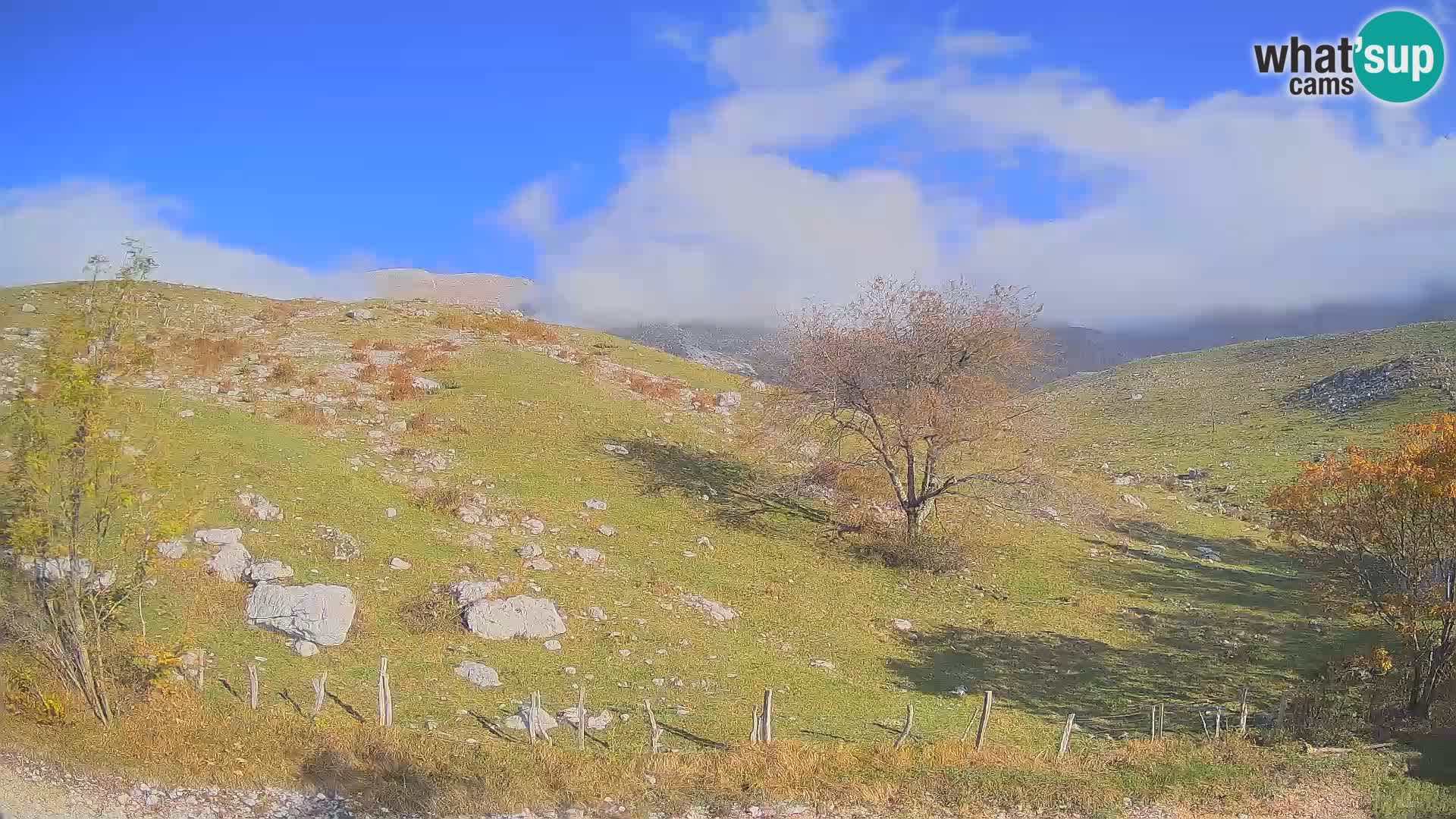 Webcam Krn – Planina Kuhinja ( Plateau Kuhinja ) – Kobarid – Slovenia