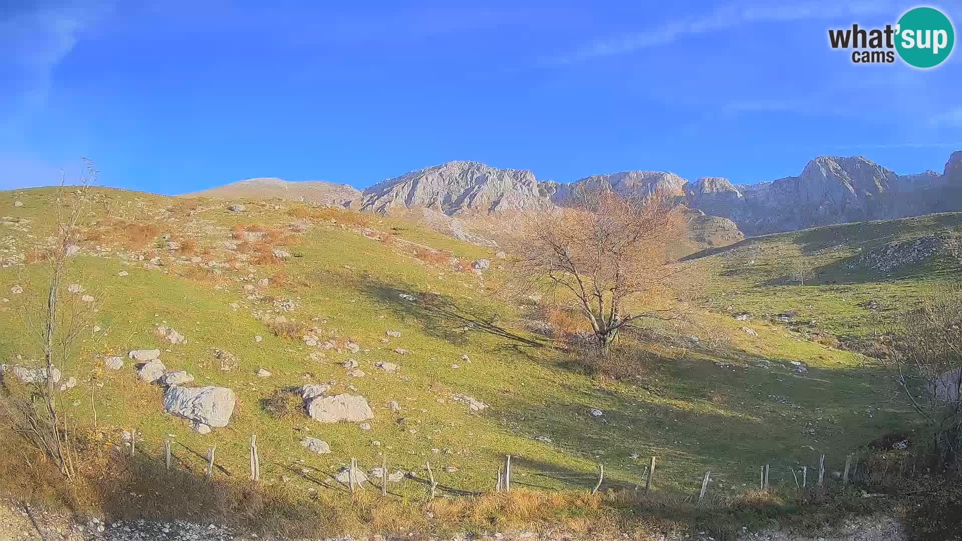 Webcam Planina Kuhinja – KRN – Kobarid – Slowenien