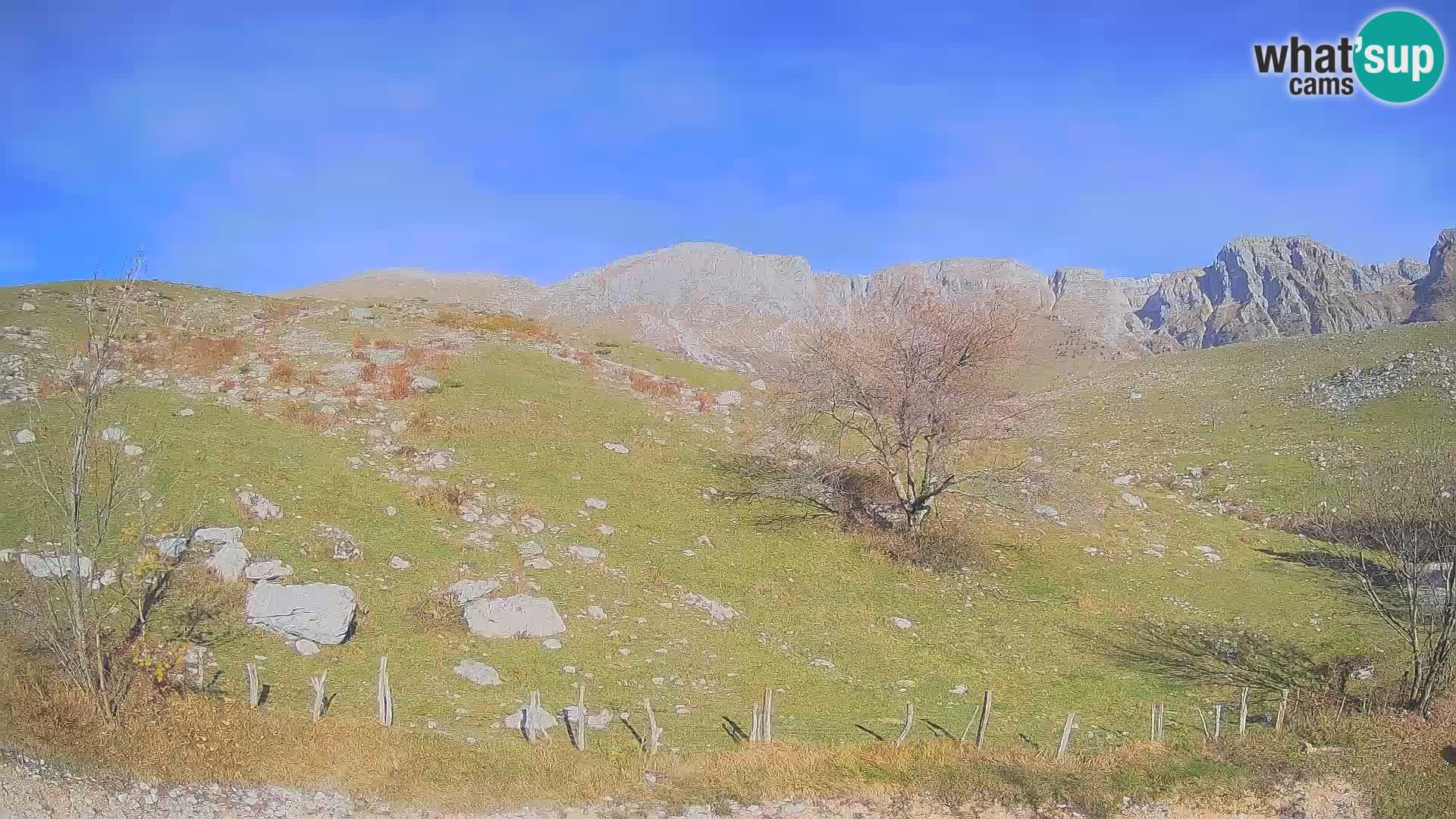 Web kamera Planina Kuhinja – KRN – Kobarid – Slovenija