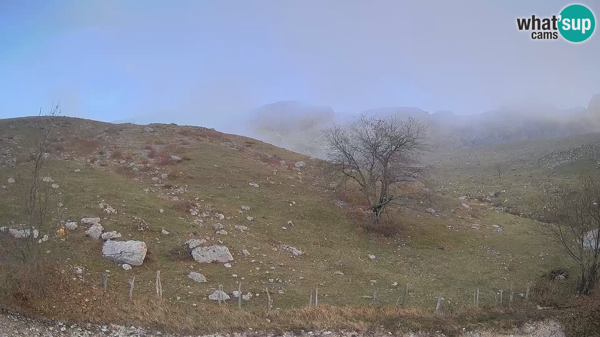 Web kamera Planina Kuhinja – KRN – Kobarid – Slovenija