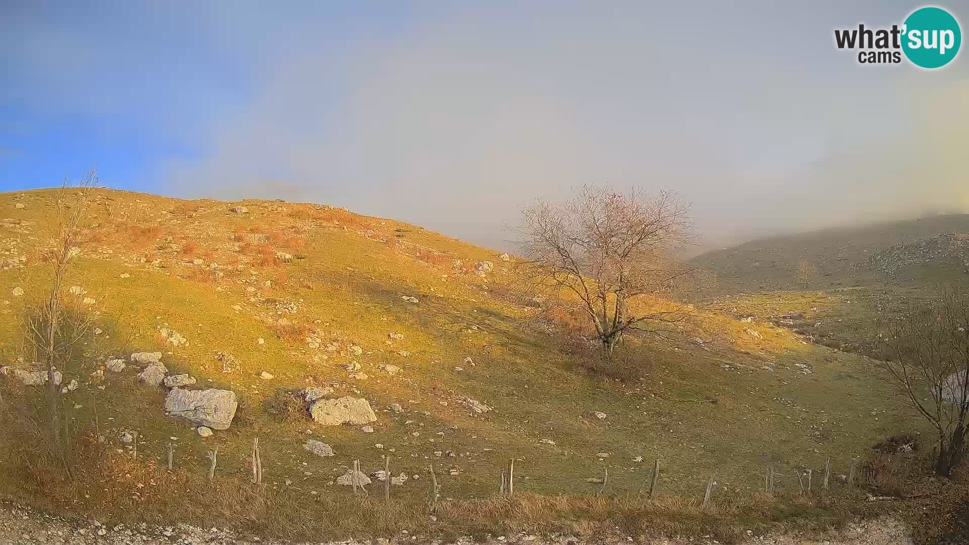 Cámara en Vivo de Planina Kuhinja – KRN – Kobarid – Eslovenia