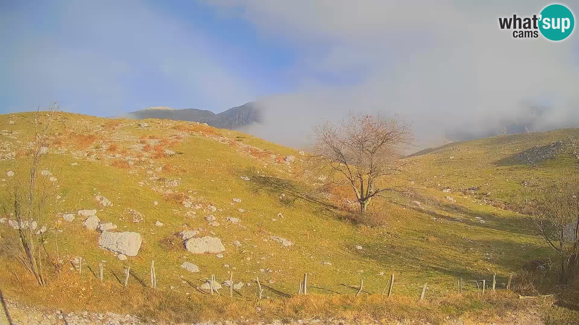 Web kamera Planina Kuhinja – KRN – Kobarid – Slovenija