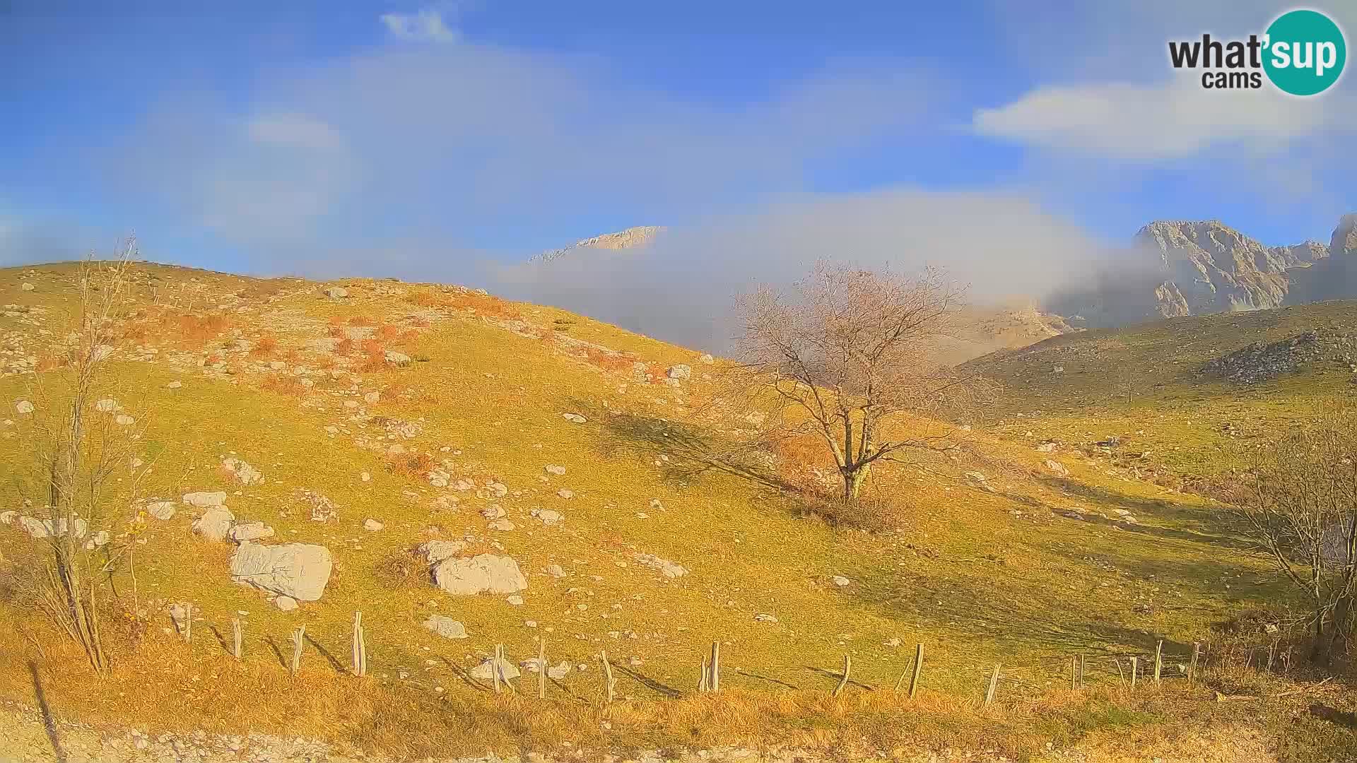 Live cam Planina Kuhinja – Monte Nero ( Krn ) – Caporetto – Slovenia