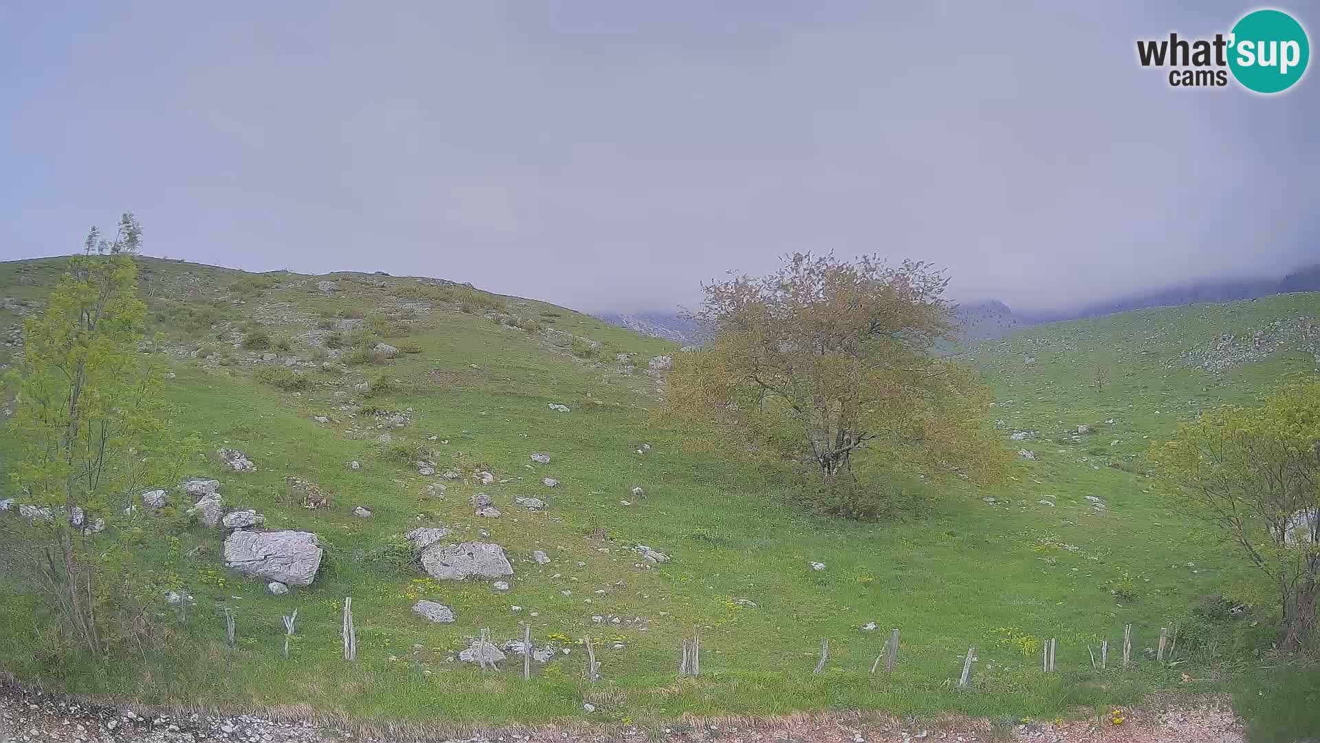 Live cam Planina Kuhinja – Monte Nero ( Krn ) – Caporetto – Slovenia