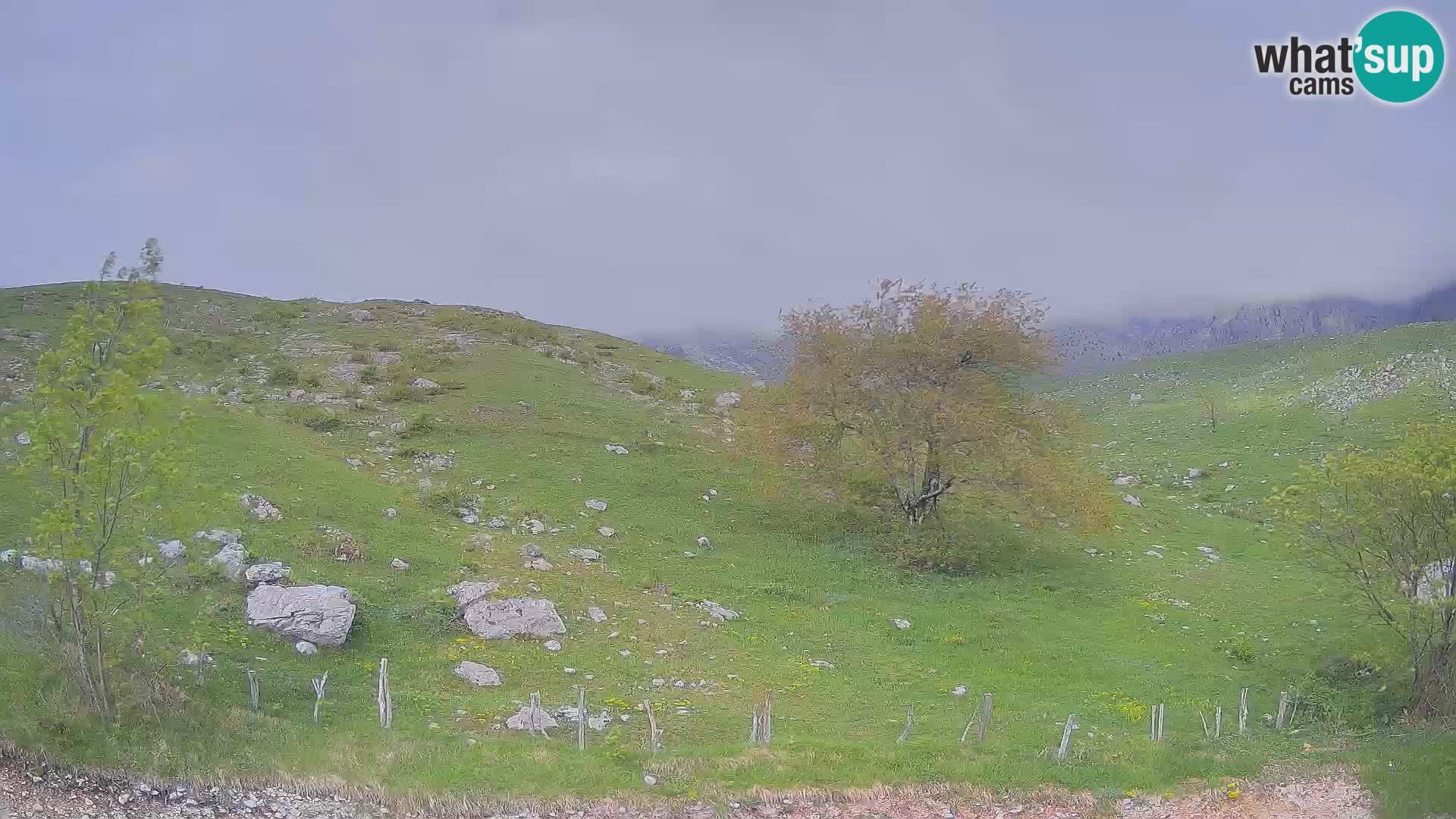 Web kamera Planina Kuhinja – KRN – Kobarid – Slovenija