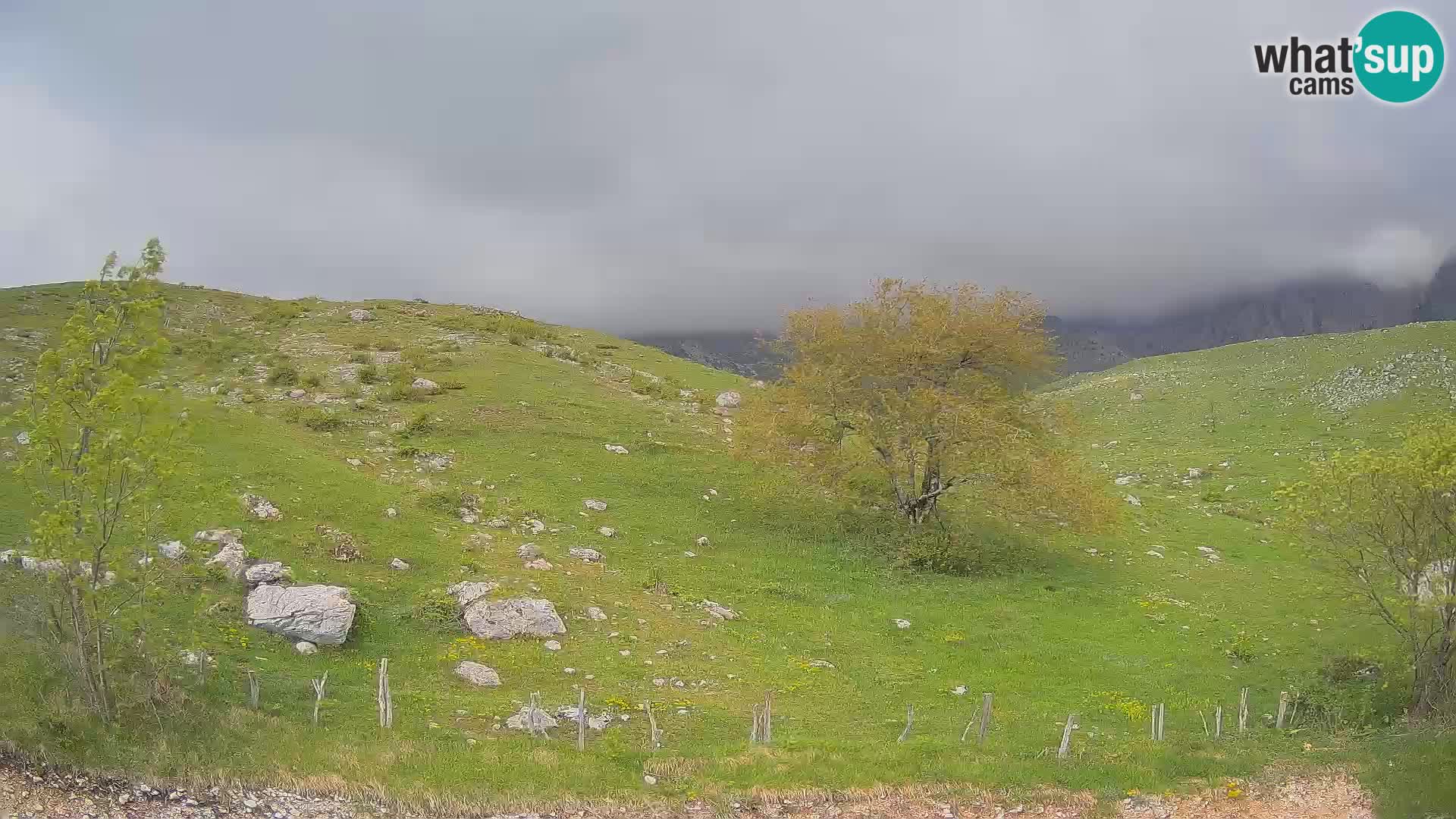 Livecam Planina Kuhinja – KRN- Kobarid – Slovénie