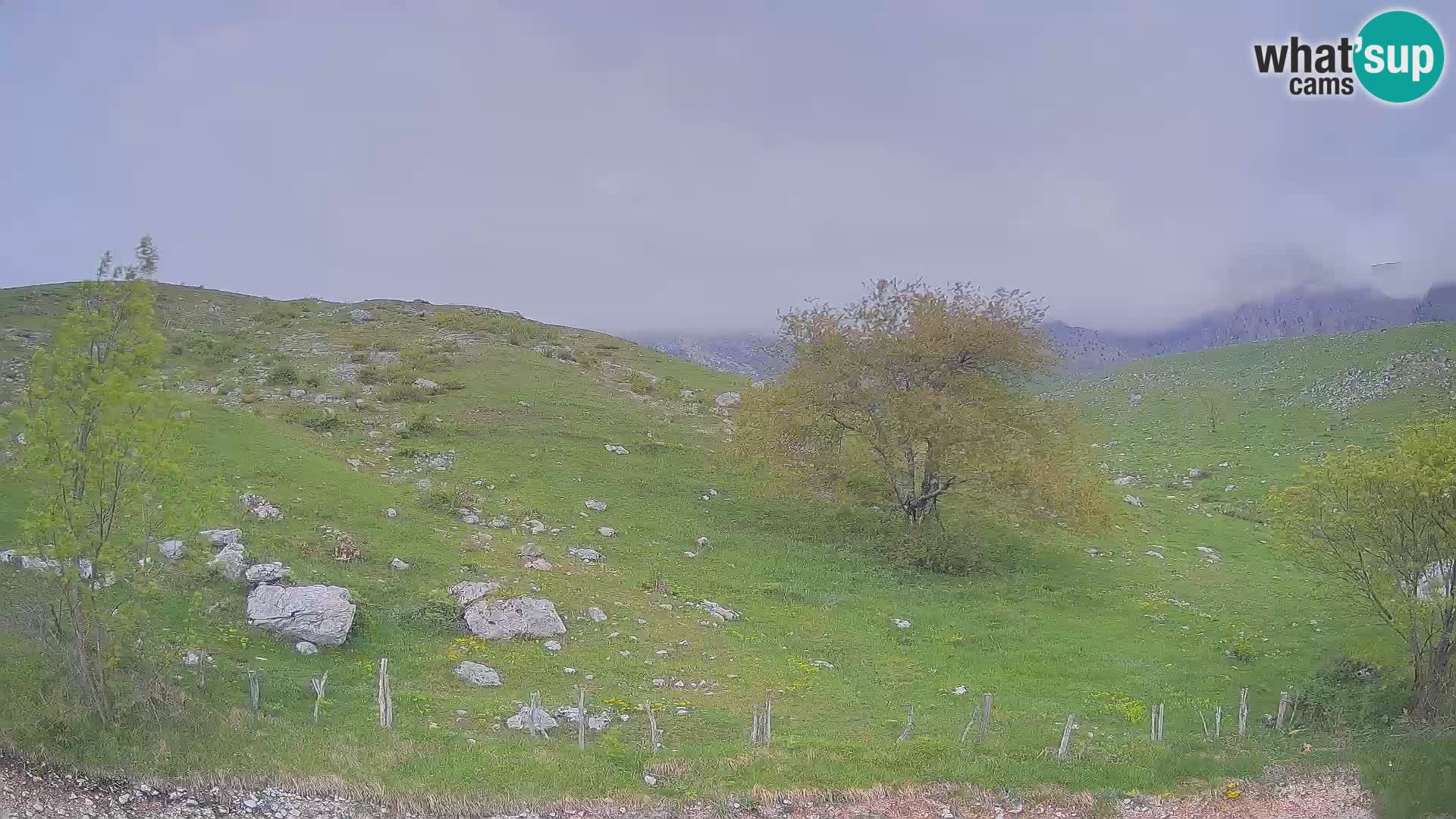 Webcam Krn – Planina Kuhinja ( Plateau Kuhinja ) – Kobarid – Slovenia