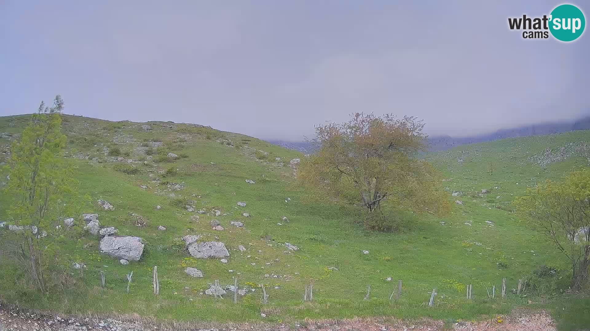 Webcam Planina Kuhinja – KRN – Kobarid – Slowenien
