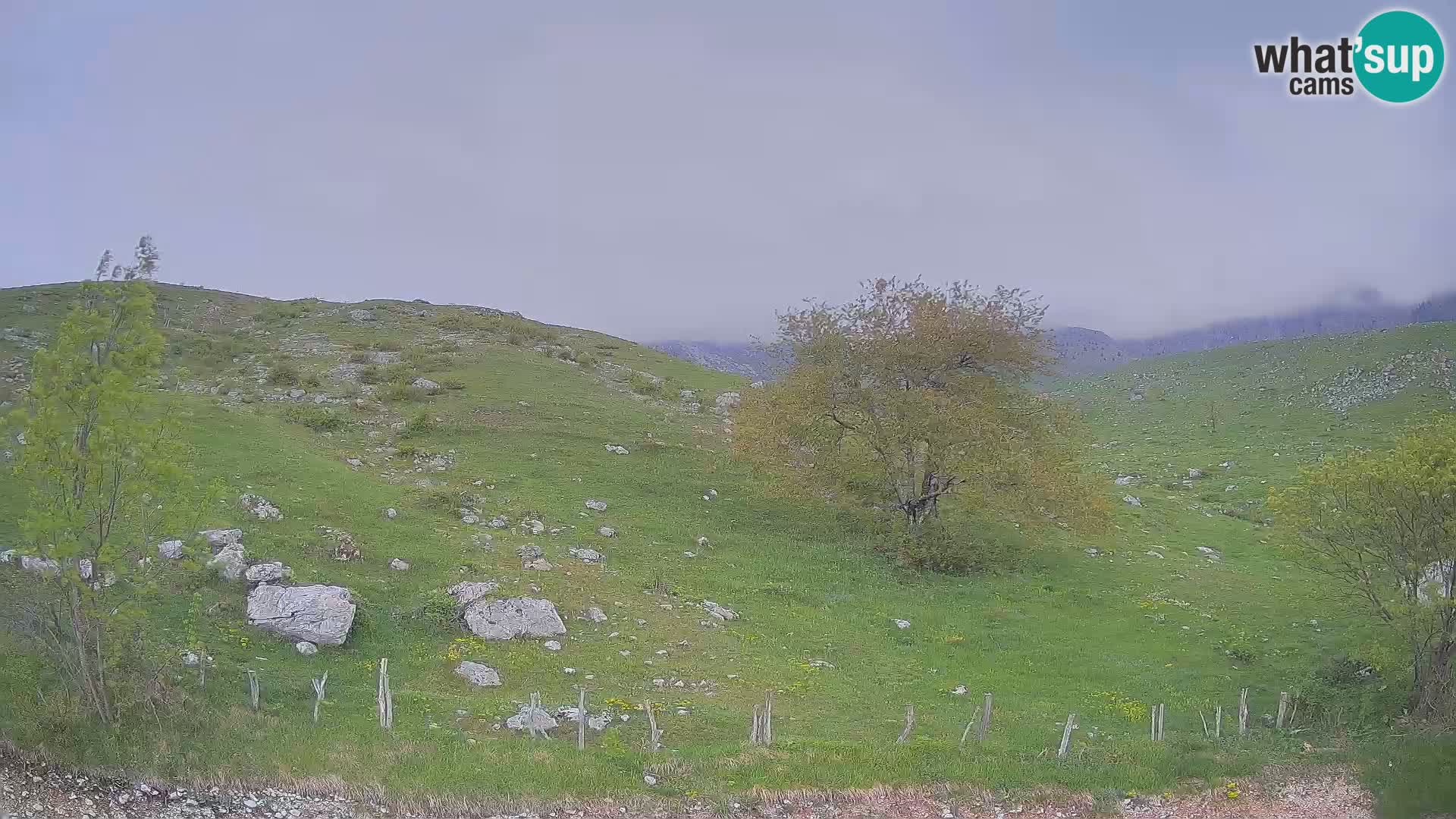 Livecam Planina Kuhinja – KRN- Kobarid – Slovénie