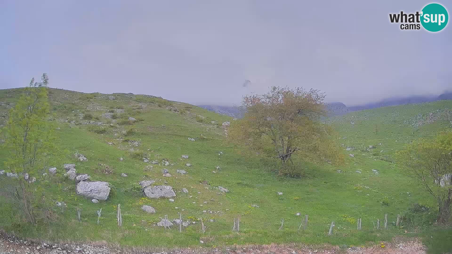 Spletna kamera Planina Kuhinja – KRN – Kobarid