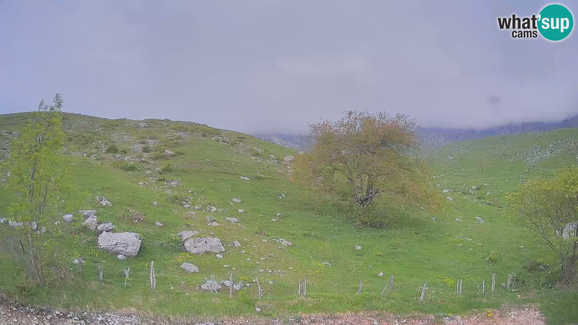 Web kamera Planina Kuhinja – KRN – Kobarid – Slovenija